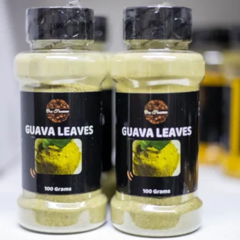 GUAVA LEAVES
